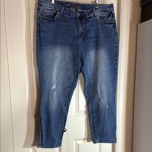 Kut from the Kloth Blue KATY Ankle Straight Leg Boyfriend Jeans 16W